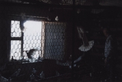 Голубию/голубятня Юрия Шмелёва под крышей дома на Таганке.